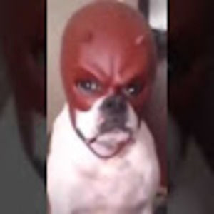 Meet your Posher, Reilly